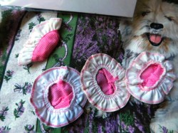 tutti hats bk